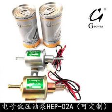 汽車改裝 HEP-02A電子油泵電子燃油泵12V 24V電子泵 電子柴油泵